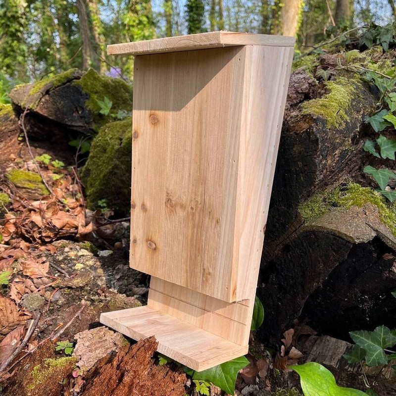 Selections Wooden Bat Box with Landing Perch