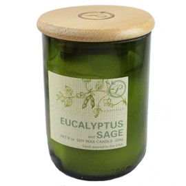 Paddywax Candles Eco Collection Soy Wax Blend Candle in Glass Jar, Medium- 8 Ounce, Eucalyptus & Sage
