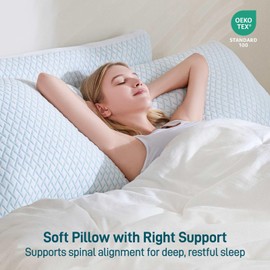 Shredded Memory Foam Cooling Soft Pillows Queen Size Set of 2, Adjustable Hypoallergenic Hotel Quality Pillow for Back, Stomach and Side Sleeper Sleeper, Bamboo Viscose Cover, Oeko-TEX Certified