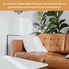 Furniture Clinic Leather Repair Paint | 2-in-1 Seal and Color