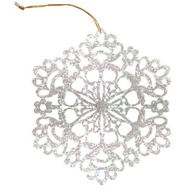 The Gift Wrap Company Iridescent Glitter Flake Gift Tags, 6-Count, White