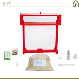 AntHouse - Natural sand ant farm - T 3D Set BIG 25x20x1 - 5 cm Gray