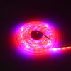 5:1 Plant Growth LED Strip Lights High Luminous Efficiency Flower