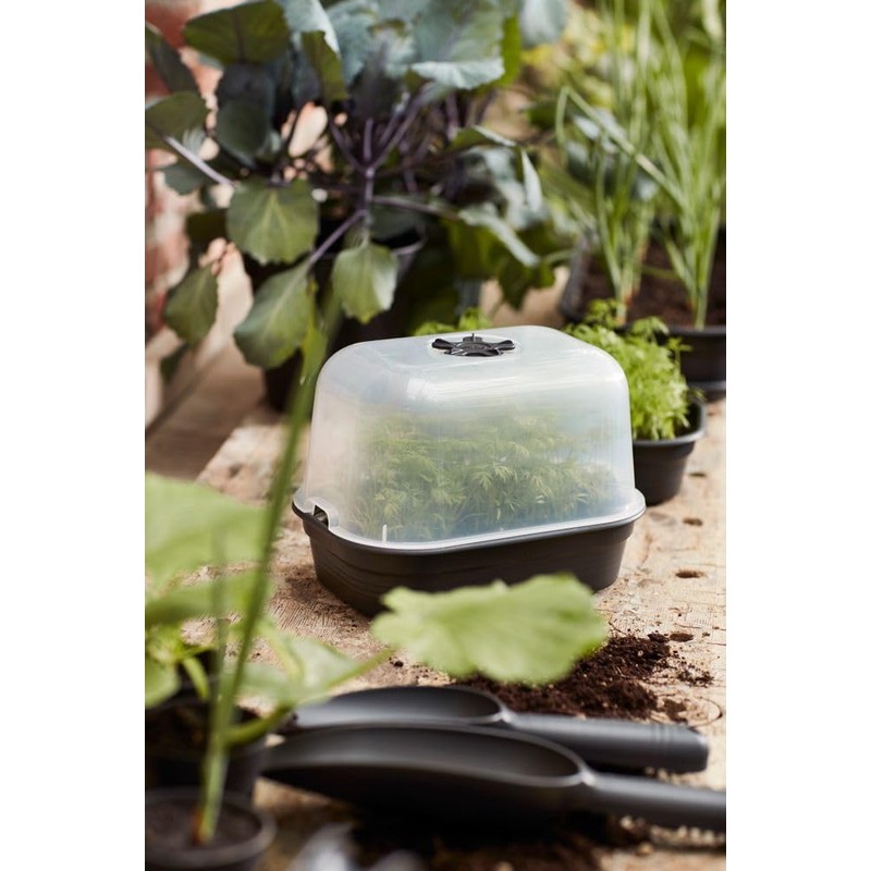 Elho Green Basics Propagation Bowl S – Vivid Black –