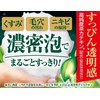 White Chasu White Tea Kneaded Soap, Face Wash, Facial Cleanser,