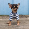 LOPHIPETS 100% Breathable Cotton Striped Dog Tee Shirt T-Shirt for