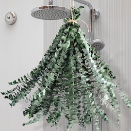 Koceko 24 Pcs Dried Eucalyptus for Shower Hanging - 17'' Real Large Preserved Eucalyptus Stems Green Home Decor, 100% Made from Fresh Eucalyptus Leaves, Bathroom Shower Decor, Wedding, DIY