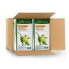 Four O'Clock Herbalist Digestive Lemon & Mint Herbal Tea, Non-Gmo,
