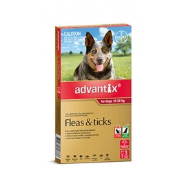 Advantix Buy Advantix For Large Dogs 10 to 25kg 3 Pack Online