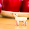 Safari Ltd. Playful Piglet Figurine - Lifelike 2" Model Figure