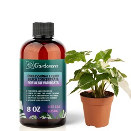 𝐏𝐑𝐄𝐌𝐈𝐔𝐌 Liquid Silica Plant Supplement - 8oz (250mL) - ALBO VARIEGATA Liquid Silica Boost Fertilizer - Stronger Stems & Healthy Leaves for Indoor & Outdoor Albo Variegata (Makes 45 Gallons)