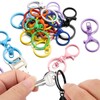 Make Your Own Key Chain, Pack of 30 Carabiner Hooks