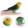 Vaguelly Simulation Parrot Toy Plastic Animal Ornament for Educational