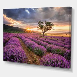 DesignQ Sunrise & Dramatic Clouds Over Lavender Field VIII Farmhouse Canvas Wall Art