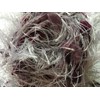 Dark Horse Yarns Bliss #518 Sugar Plum Fancy Fur Eyelash