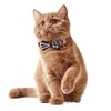 KUDES 2 Pack/Set Cat Collar Breakaway with Cute Bow Tie