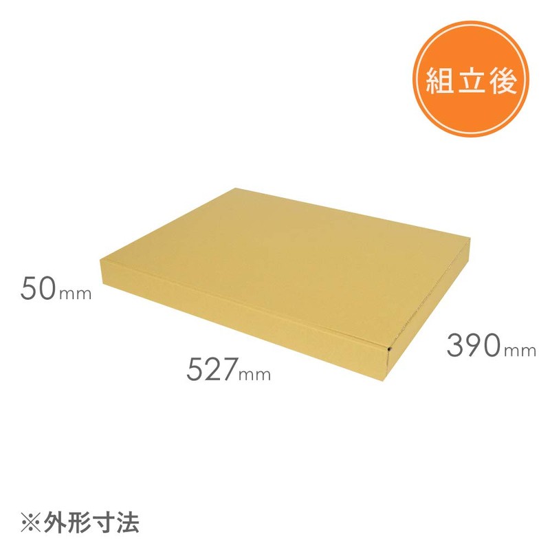 Cardboard One Cardboard (Corrugated Box) for Suits and Jackets, Delivery
