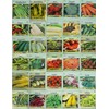 30 Packs of Deluxe Valley Greene Heirloom Vegetable Garden Seeds