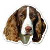 Magnet America English Springer Spaniel Dog Magnet is 4.5" x