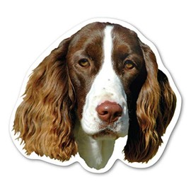 Magnet America English Springer Spaniel Dog Magnet is 4.5" x 5" Made for Vehicles and Refrigerators