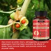 Bunkell Adrenal Support Supplement - Supports Healthy Adrenal Function 120