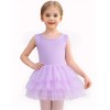Tutu.kk Little Girls Sparkly Tulle Dress Sleeveless Skirted with Fluffy