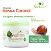 Baba Caracol Mayoreo 10 Piezas Envio Gratis