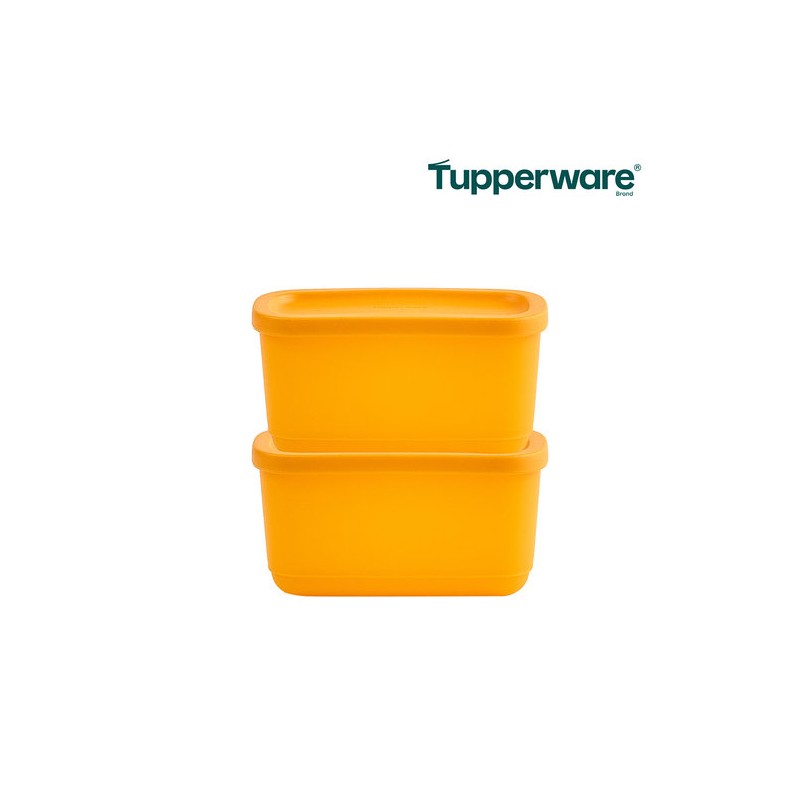 Tupperware Singsing Block Mini Rectangular 250ml 2-pack