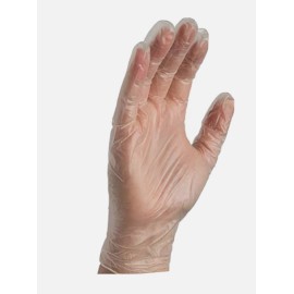 AMMEX Box of 100 Large AMMEX Medical Vinyl Exam Gloves Clear/Powder-F