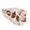 Resin Dinosaur Skull Model Simulated Animal Skeleton Home Office Decor