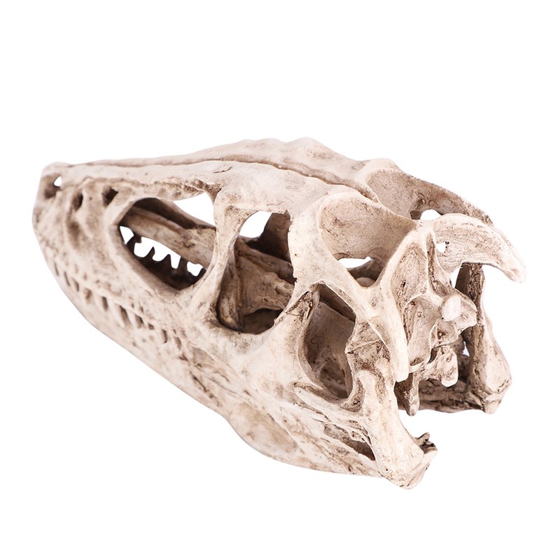 Resin Dinosaur Skull Model Simulated Animal Skeleton Home Office Decor