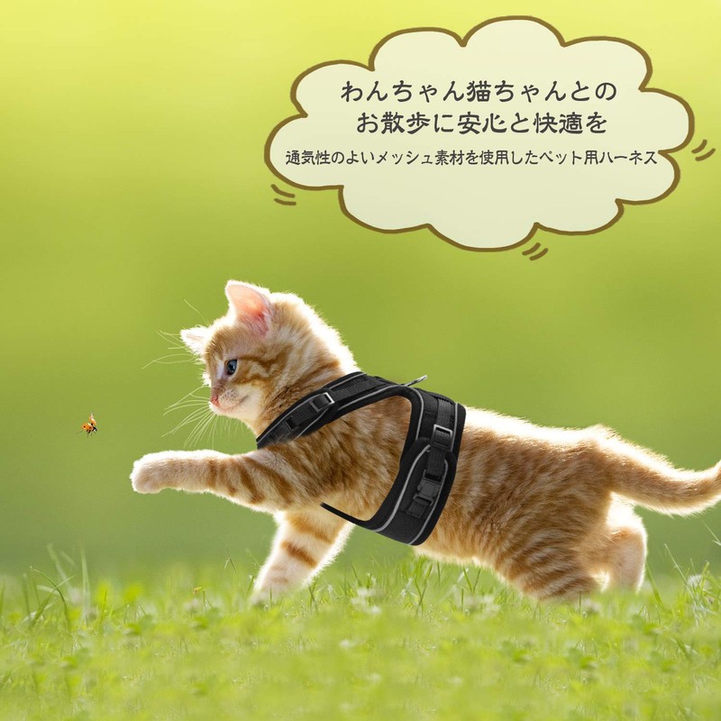 Angelpet Harness for Cats, Kittens, Puppies, Small Dogs, Walks, Outings,