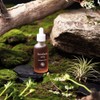 Dumidang Red Bean Serum 50ml Vegan Cosmetics + Sample Set
