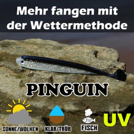 Paradox Fishing Set of 5 Penguin Zander Rubber Fish 13 cm – Zander Bait Rubber Fish Set