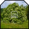 Elderflower Tea 200 g - Elderflower - Elderflower Dried -