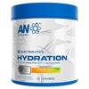 AN Performance Electrolyte Drink Mix | Zero Sugar Hydration Powder