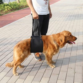 Marhynchus Arnés Resistente de Asistencia de Elevación de Perros Negros con, Tamaño Ajustable, Ideal para Soporte de Movilidad, Material Suave y Duradero (M)