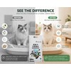 AG Silver Ion Mixed Tofu Cat Litter 2.5kg Dust-Free Fast