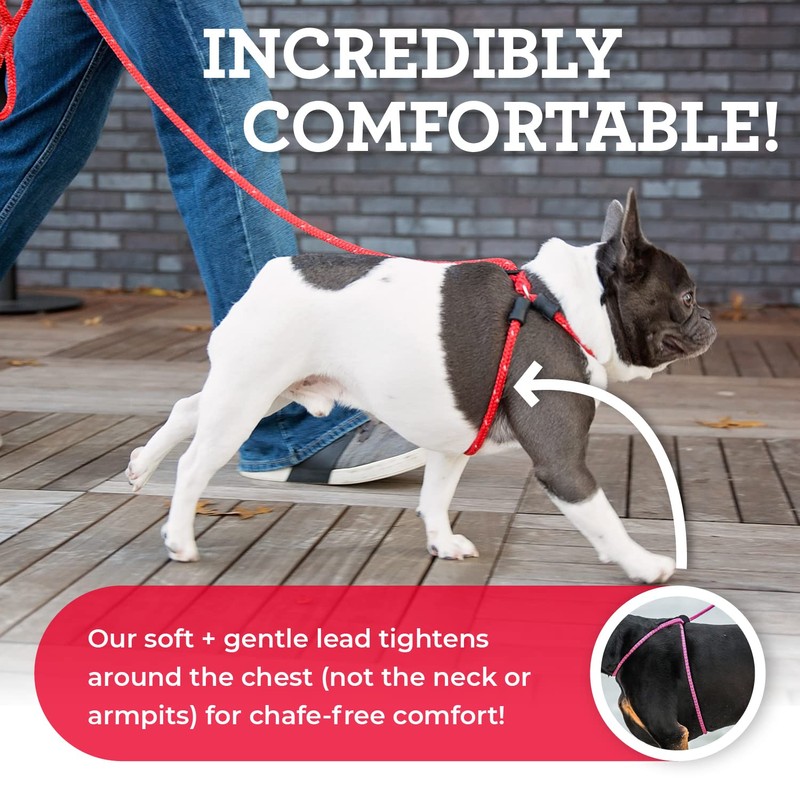 Harness Lead No Pull Dog Harness and Leash Set, Anti