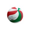 Molten Competition Ball V5M4000-DE White/Green/Red 5
