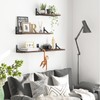 YGEOMER Floating Shelves for Wall, Walnut Wall Shelves Different Sizes,