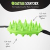 Cactus Scratcher Travel Mini Back Scratcher with 2 Sides Featuring