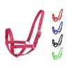 Derby Originals Adjustable Nylon Livestock Cattle Halters Available