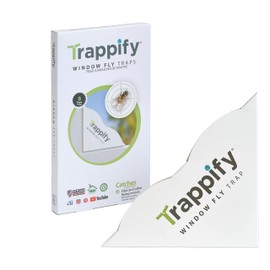 Trappify Fly Trap Indoor: Window Fly Traps for Home | Fruit Fly Traps for Indoors, Gnat Traps for House Indoor | Disposable Fly Trap with Sticky Adhesive Strips | Inside Bug Catchers (8 Pack)