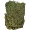RAYHER 8508300 Dried Moss Bag 100 g, Moss Green/Brown, 29