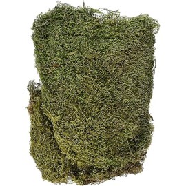 RAYHER 8508300 Dried Moss Bag 100 g, Moss Green/Brown, 29 x 23 x 5 cm