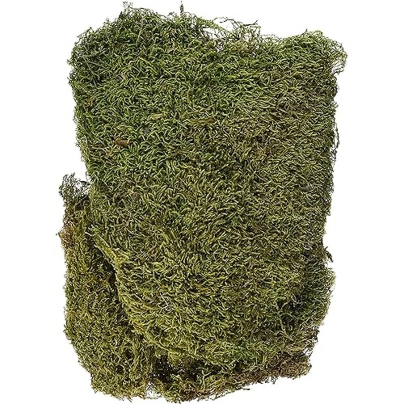 RAYHER 8508300 Dried Moss Bag 100 g, Moss Green/Brown, 29