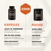 SOLVE Labs ● Premium Siberian Chaga Mushroom Capsules ● 10%