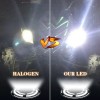 AQJ LED Tail Light Bulb for Honda Rancher 350 400
