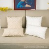 CJWLKJ 2Pcs Soft Faux Fur Throw Pillow Covers 18x18 -